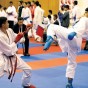 لعبة كراتيه - أرشيفية