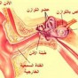 رسم توضيحي للأذن - ارشيفية