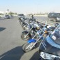 الاعتداءات المتكررة على الثروة الحرجية