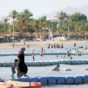 مدينة العقبة - اشريفية