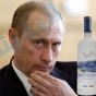 بوتين - أرشيفية