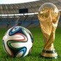 كأس العالم 2014
