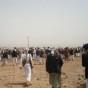 مسلحون من قبائل أرحب - ارشيفية