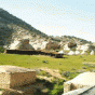 100484.gif