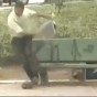 106491.jpg