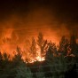 احدى الحرائق التي اندلعت في الغابات في فلسطين المحتلة - ارشيفية