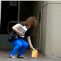 113399.jpg