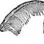 125751.jpg
