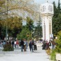 135486.jpg