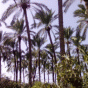 139522.gif