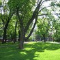 140562.jpg