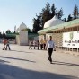 140571.jpg