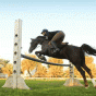 140694.gif