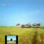 145687.jpg