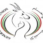 148186.jpg