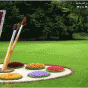 149275.gif