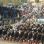 161087.jpg