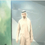 163777.gif