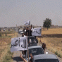 163905.gif