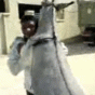 163970.gif