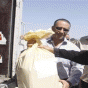 164063.gif