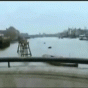 164145.gif