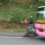 164360.gif