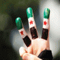 164462.gif