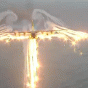 164538.gif