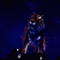 164541.gif