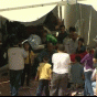 164616.gif