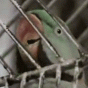 164792.gif