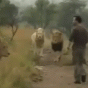 165131.gif