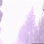 165141.gif