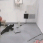 167237.gif