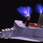 168278.gif