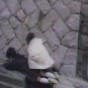 173149.jpg