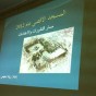 174491.jpg