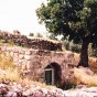 176409.jpg