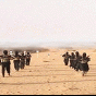 177240.gif