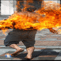 177522.gif