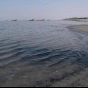 179181.gif