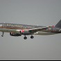18563.JPG