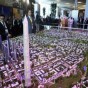 نموذج للعاصمة الادارية الجديدة المقترح