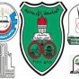 جامعات حكومية