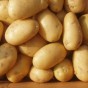 بطاطا - ارشيفية