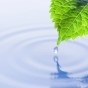 منتدى الجمعيات البيئية