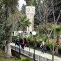 من الجامعة الاردنية