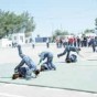 24203.jpg