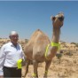 جمال النقب